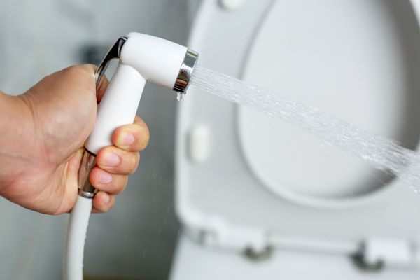 Cost of Bidet Installation in Toledo