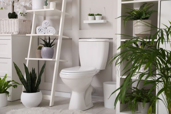 Cost of Toilet Repair in Toledo