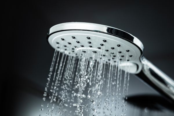 Cost of Shower Head Replacement in Toledo