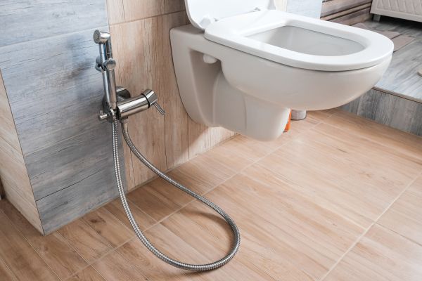 Cost of Bidet Service in Toledo