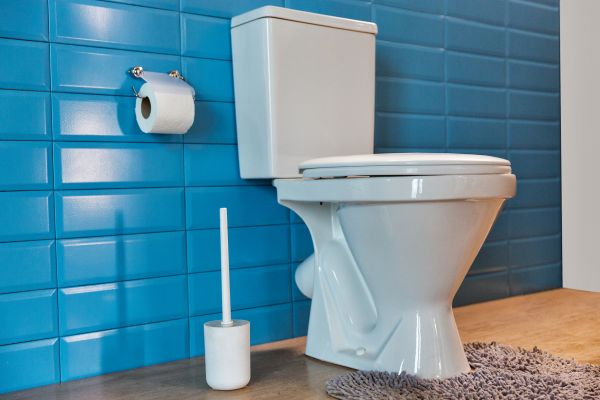 Cost of Toilet Tank Repair in Toledo