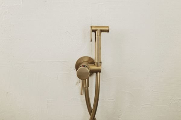 Cost of Bidet Plumbing in Toledo