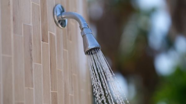 Cost of Showerhead Repair in Toledo