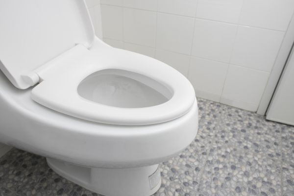 Cost of New Toilet Installation in Toledo